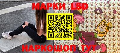 тгк Бийск
