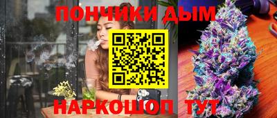 тгк Бийск