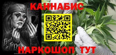 тгк Бийск