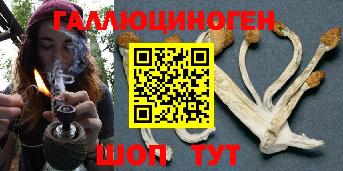 Галлюциногенные грибы GOLDEN TEACHER Богданович