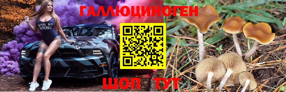 Галлюциногенные грибы Cubensis  Вход с VPN  Богданович 